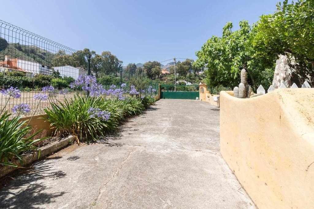 Villa Ojuelos Gran Canaria Вега де Сан Матео Экстерьер фото