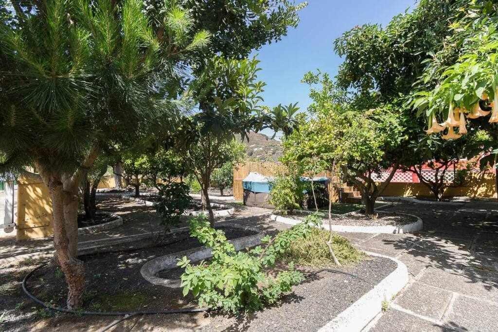 Villa Ojuelos Gran Canaria Вега де Сан Матео Экстерьер фото